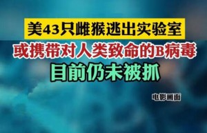 美国43只实验用雌猴逃脱，官方提醒：或携带对人类致命B病毒